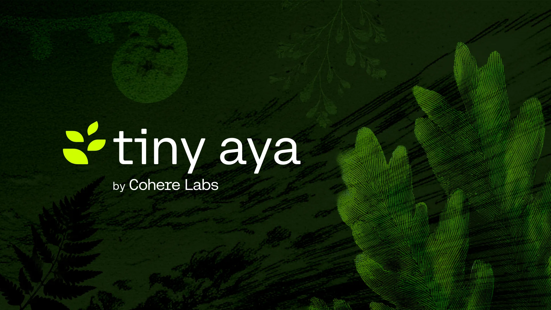 معرفی مدل‌های چندزبانه «Tiny Aya» توسط Cohere؛ گامی تازه برای دسترسی جهانی به هوش مصنوعی